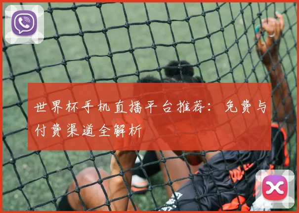 世界杯手机直播平台推荐:免费与付费渠道全解析