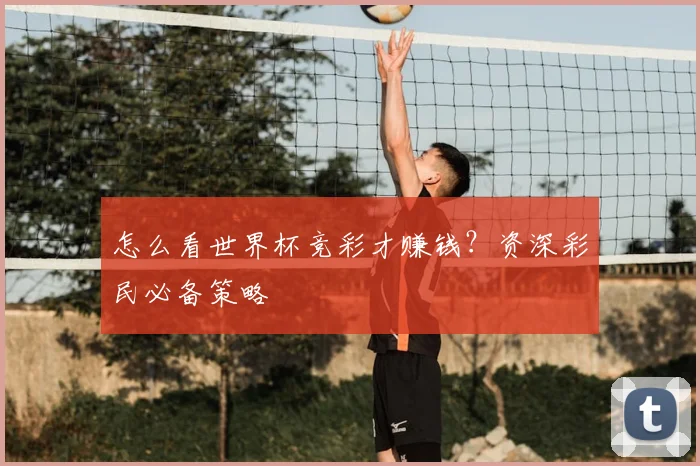 怎么看世界杯竞彩才赚钱？资深彩民必备策略