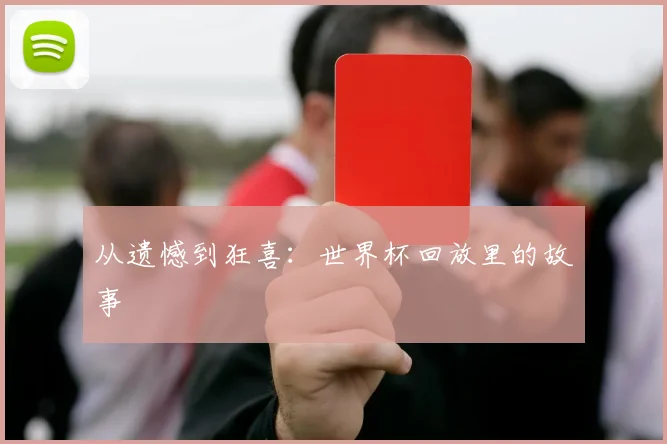 从遗憾到狂喜:世界杯回放里的故事