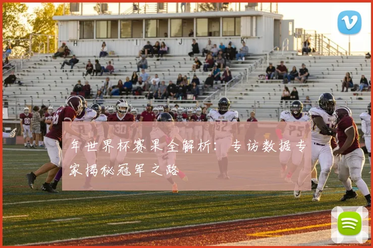 年世界杯赛果全解析：专访数据专家揭秘冠军之路