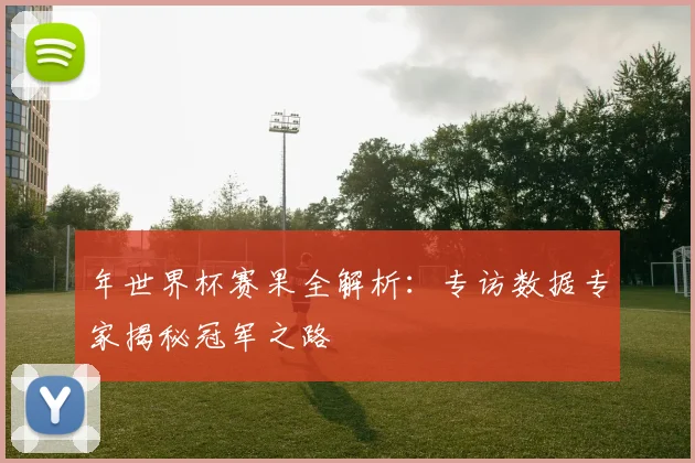 年世界杯赛果全解析:专访数据专家揭秘冠军之路