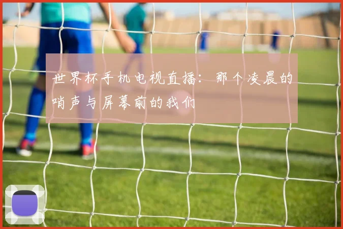世界杯手机电视直播：那个凌晨的哨声与屏幕前的我们