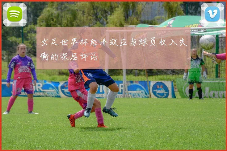 女足世界杯经济效应与球员收入失衡的深层评论