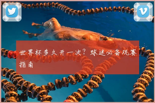 世界杯多久开一次？球迷必备观赛指南