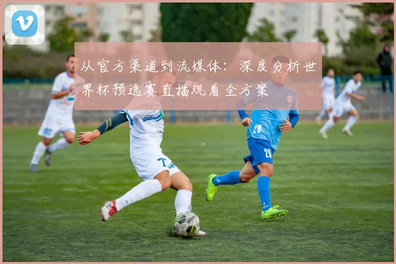 从官方渠道到流媒体：深度分析世界杯预选赛直播观看全方案