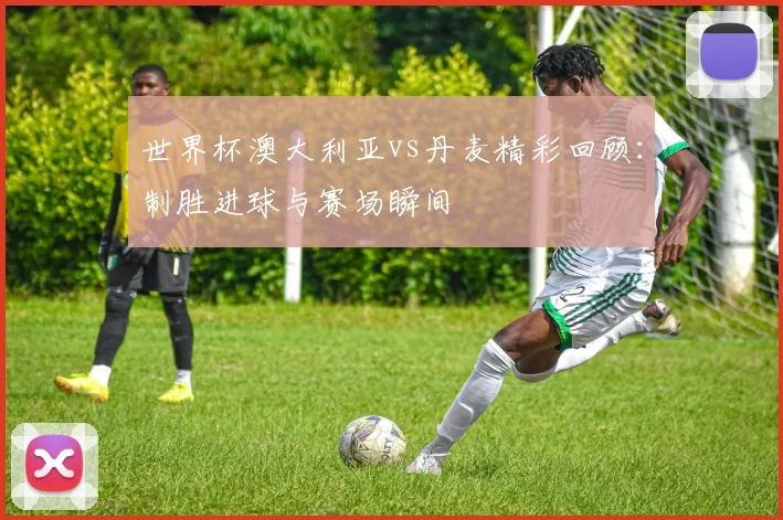 世界杯澳大利亚vs丹麦精彩回顾：制胜进球与赛场瞬间